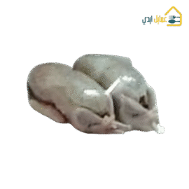 جوز حمام